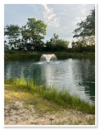 Our pond here at Wooded Acres Campground